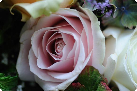 Richard Milnes Photography