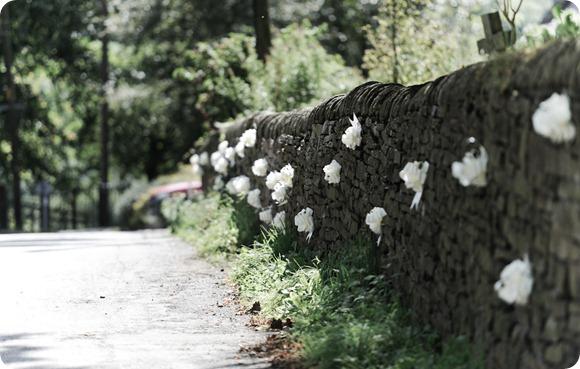 Richard Milnes Photography