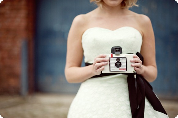 Brides Up North by Karen McGowran  