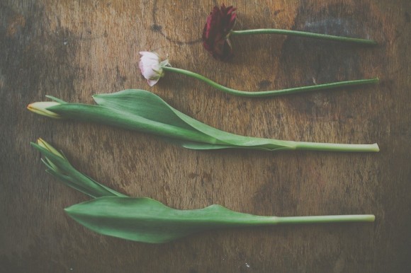 Leafy Couture School For Florists  by James Melia (4)