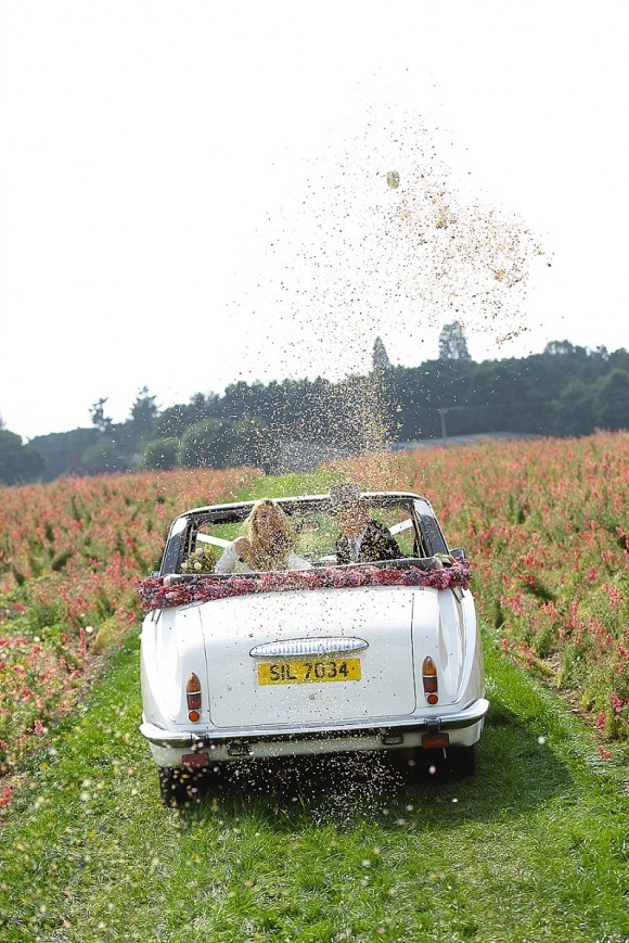 ShropshirePetals.com Confetti explosion - confetti from £11.50 per litre (6)