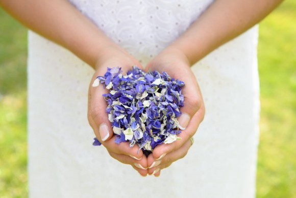 ShropshirePetals.com Handful of Highland Fling £11.50 per litre.jpg