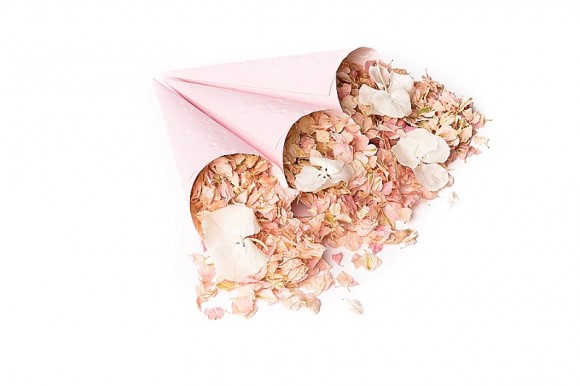 ShropshirePetals.com Pink confetti cones with Pink Lemonade and Daisy Daisy £13.95 per litre