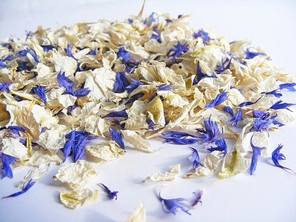 ShropshirePetals.com Something Blue £11.95 per litre (4)