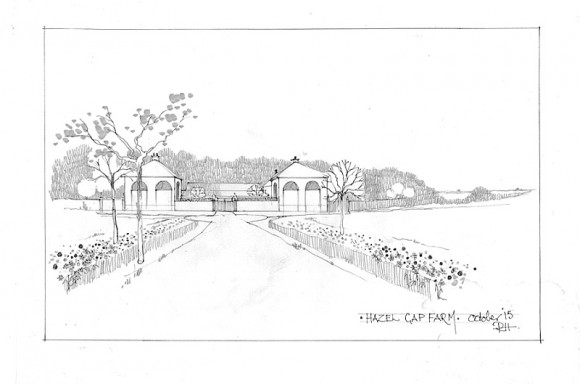 Hazel Gap Farm (8)