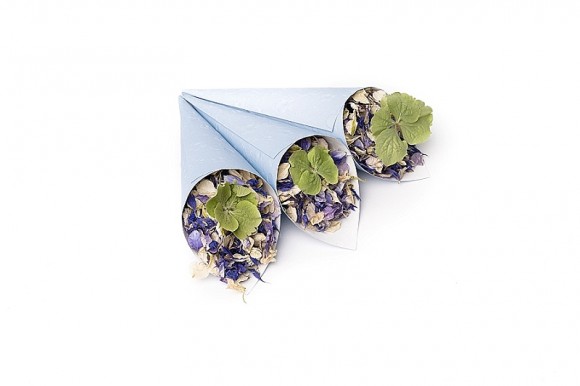 GREENERY ShropshirePetals.com Blue cones with Icing Sugar, Blue Bird, Frosted Blue and Envy £14.25 per litre (3)