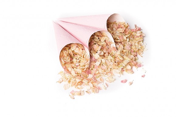 PALE DOGWOOD ShropshirePetals.com Pink Confetti Cones with Pink Lemonade £12.25 per litre (4)