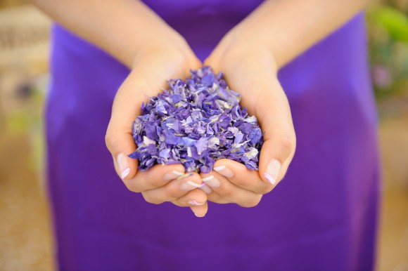 ShropshirePetals.com Amethyst £12.25 per litre