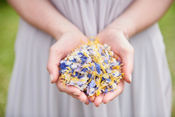 ShropshirePetals.com Pick and Mix of Icing Sugar, Honey'b, Frosted Blue and Blue Bird £12.50 per litre