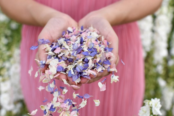 ShropshirePetals.com Wonderland £12.50 per litre (2)