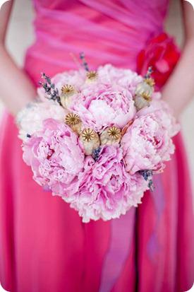 Annemarie King Photography Annemarie King Photography